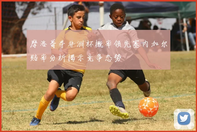 摩洛哥夺非洲杯概率领先塞内加尔赔率分析揭示竞争态势
