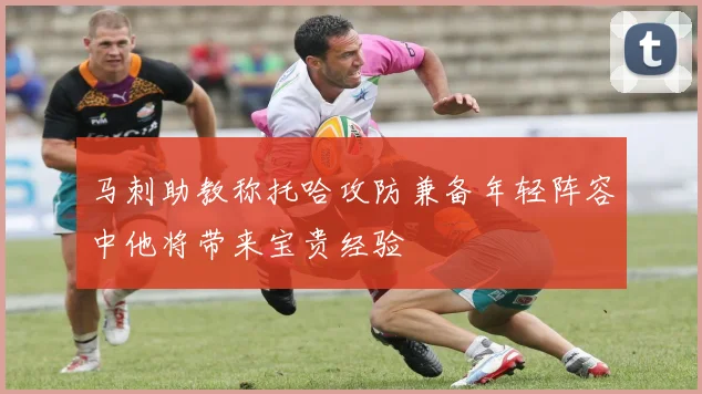 马刺助教称托哈攻防兼备年轻阵容中他将带来宝贵经验